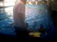Rosario - Taller de Nataci�n - Centro Acu�tico Temperley